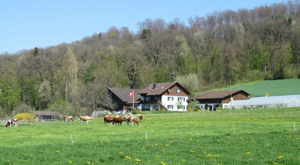 Biohof Waldegg 21